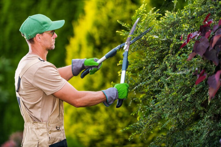 How Professional Garden Maintenance Helps Prevent Costly Repairs How Professional Garden Maintenance Helps Prevent Costly Repairs