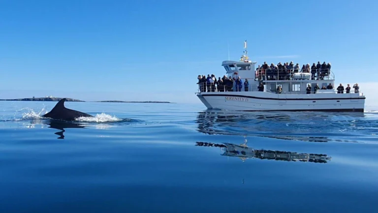The Technical Checklist for Preparing a Sailing Yacht for Transoceanic Transit The Technical Checklist for Preparing a Sailing Yacht for Transoceanic Transit
